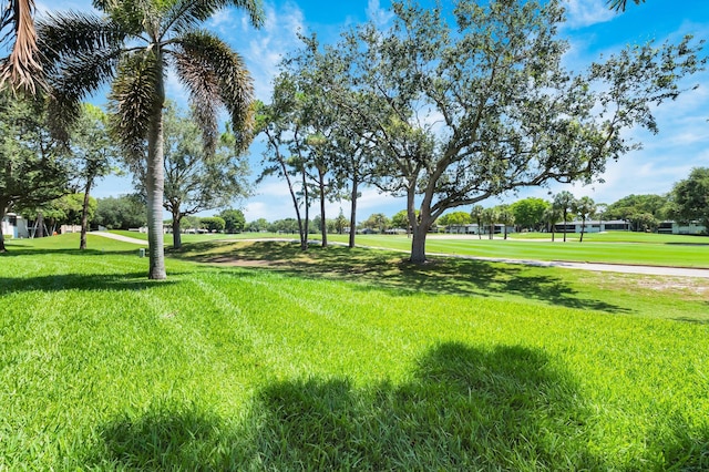 7 Stratford Dr Unit C, Boynton Beach, FL 33436 - view of green lawn