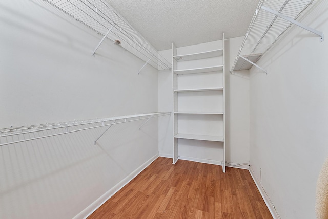 222 Wellington Unit G, West Palm Beach, FL 33417 - walk in closet featuring wood finished floors