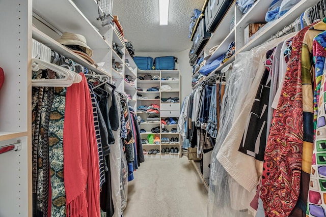 9998 Seacrest Cir Unit C, Boynton Beach, FL 33437 - spacious closet with carpet flooring