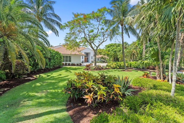 6460 SE Harbor Cir, Stuart, FL 34996 - view of green lawn