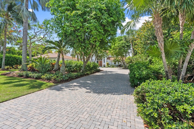 6460 SE Harbor Cir, Stuart, FL 34996 - view of front of home with decorative driveway