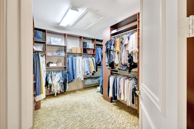 3628 S Ocean Blvd, Highland Beach, FL 33487 - spacious closet featuring attic access and carpet floors