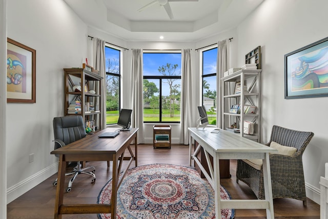 7887 150th Ct N, Palm Beach Gardens, FL 33418 - office space with healthy amount of natural light, a ceiling fan, a tray ceiling, and dark wood finished floors
