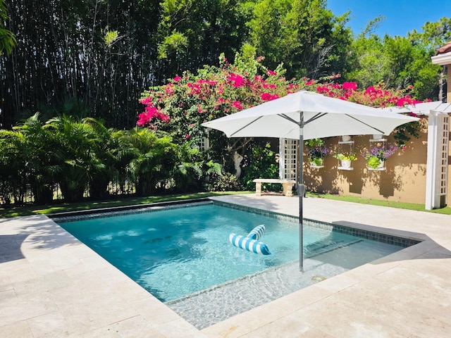 10434 Buena Ventura Dr, Boca Raton, FL 33498 - swimming pool with a patio