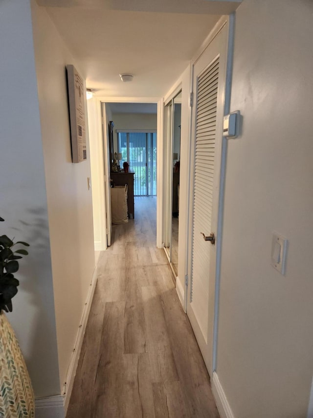 302 Wellington Unit B, West Palm Beach, FL 33417 - hall with light wood-type flooring and baseboards