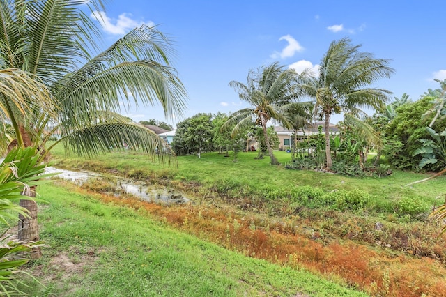 3974 SW Jarmer Rd, Port Saint Lucie, FL 34953 - view of yard