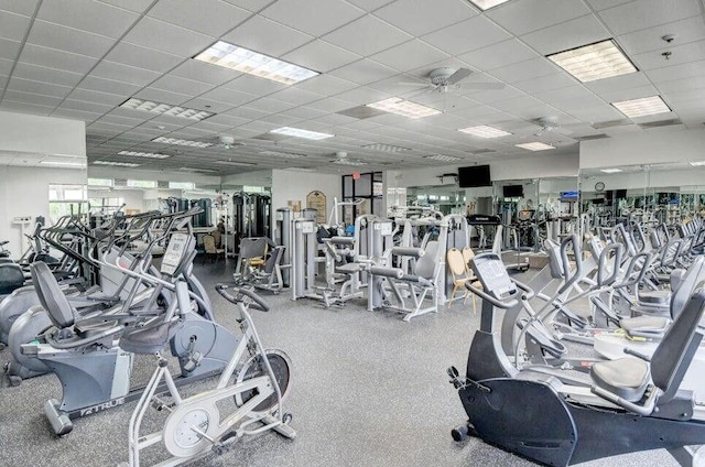 10112 Marwood Pl, Boynton Beach, FL 33437 - exercise room with a ceiling fan and a drop ceiling