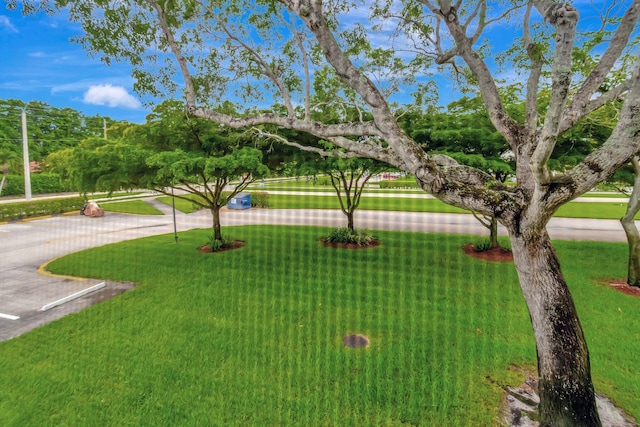 393 Fanshaw J, Boca Raton, FL 33434 - view of green lawn