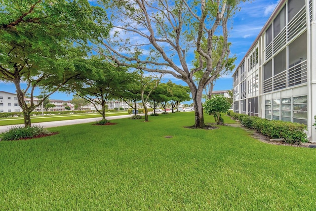 393 Fanshaw J, Boca Raton, FL 33434 - view of green lawn