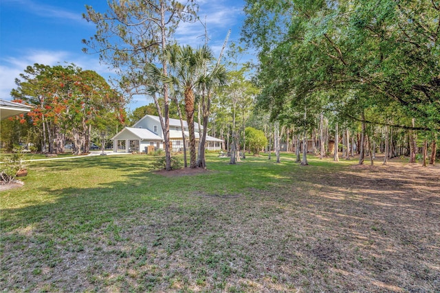16095 121st Ter N, Jupiter, FL 33478 - view of green lawn