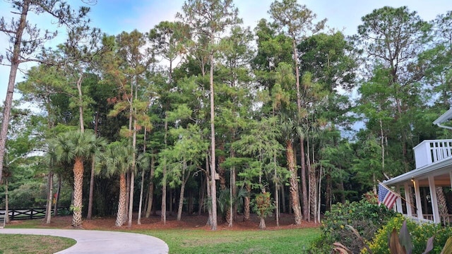 16095 121st Ter N, Jupiter, FL 33478 - view of yard