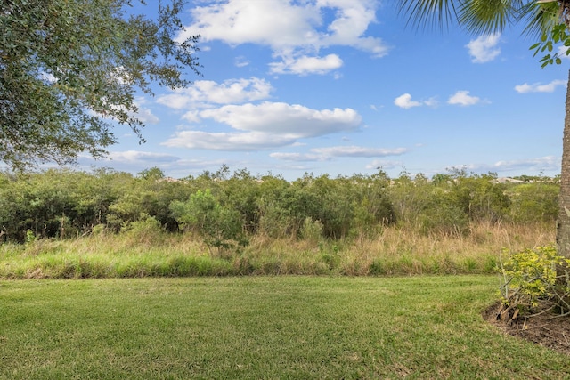 10834 SW Dardanelle Dr, Port Saint Lucie, FL 34987 - view of grassy yard