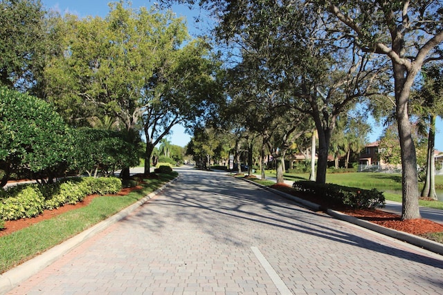 3559 Hudson Ln, Boynton Beach, FL 33436 - view of decorative road with curbs