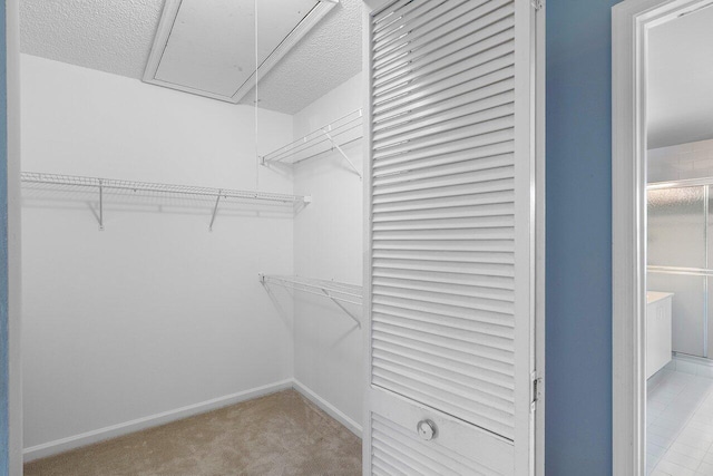 6321 Lansdowne Cir, Boynton Beach, FL 33472 - spacious closet featuring attic access and carpet