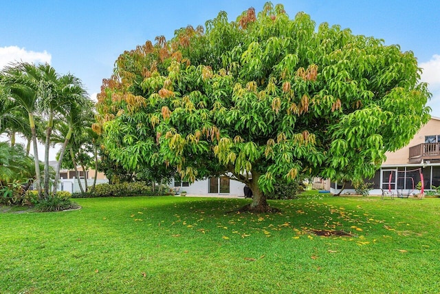 6321 Lansdowne Cir, Boynton Beach, FL 33472 - view of green lawn