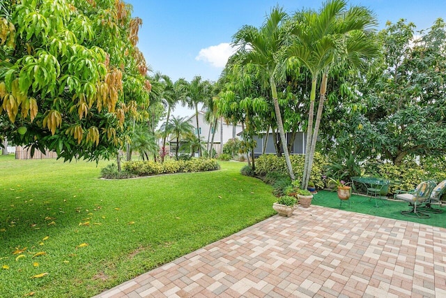 6321 Lansdowne Cir, Boynton Beach, FL 33472 - view of green lawn featuring a patio