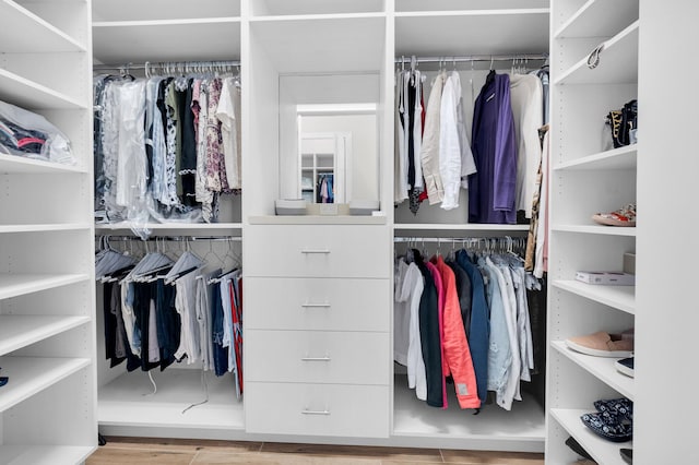 9350 Eden Roc Ct, Delray Beach, FL 33446 - view of spacious closet