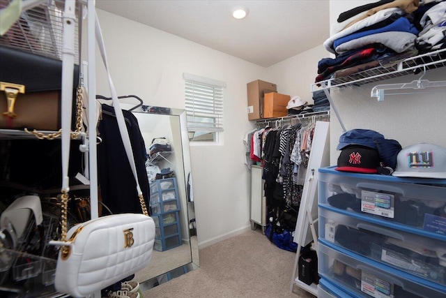 12314 SW Rimini Way, Port Saint Lucie, FL 34987 - spacious closet featuring carpet flooring