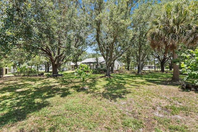 16673 75th Way N, Palm Beach Gardens, FL 33418 - view of green lawn