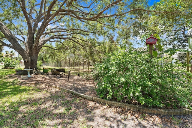 16673 75th Way N, Palm Beach Gardens, FL 33418 - view of yard