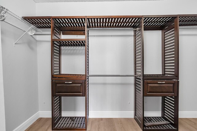 123 Canterbury Pl, Royal Palm Beach, FL 33414 - walk in closet featuring light wood-style floors