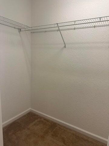 10280 SW Stephanie Way Unit 8209, Port Saint Lucie, FL 34987 - spacious closet with dark colored carpet