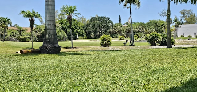 4299 NW 16th St Unit 303, Lauderhill, FL 33313 - view of community featuring a yard
