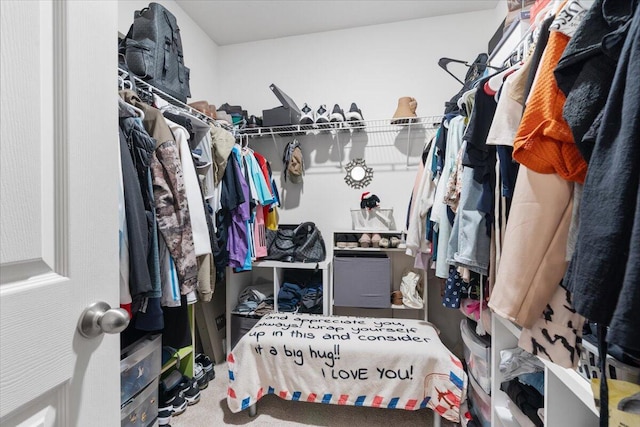 3313 SW Ludlow St, Port Saint Lucie, FL 34953 - view of walk in closet