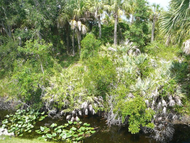 1840 E Sanderling Ln Unit 1, Fort Pierce, FL 34982 - view of undeveloped land
