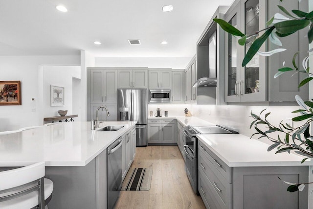 13487 Whistler Mountain Rd, Delray Beach, FL 33446 - kitchen with gray cabinetry, stainless steel appliances, a sink, light wood finished floors, and recessed lighting