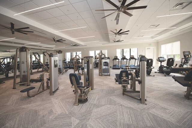 13487 Whistler Mountain Rd, Delray Beach, FL 33446 - exercise room featuring light carpet and ceiling fan
