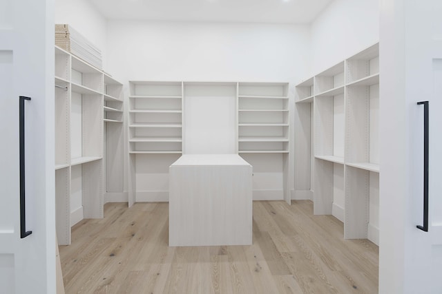 18072 127th Dr N, Jupiter, FL 33478 - walk in closet with light wood-style floors