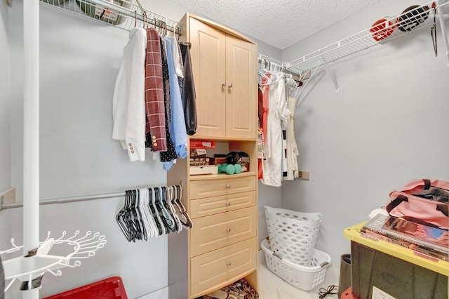 5630 Eagle Trace Ct, Lake Worth, FL 33463 - view of walk in closet