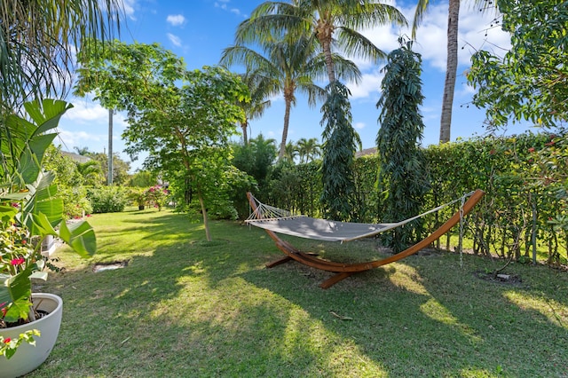 1701 N Ocean Breeze, Lake Worth Beach, FL 33460 - view of grassy yard