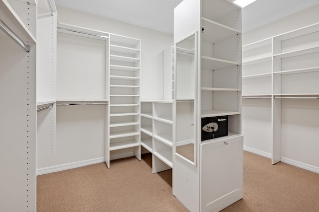 330 SE 7th Ave, Delray Beach, FL 33483 - spacious closet featuring light colored carpet