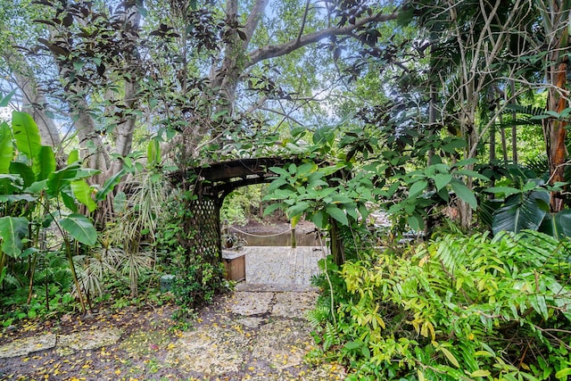 434 NW 7th Ave, Boca Raton, FL 33486 - view of yard