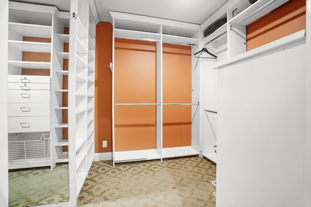 434 NW 7th Ave, Boca Raton, FL 33486 - spacious closet featuring carpet