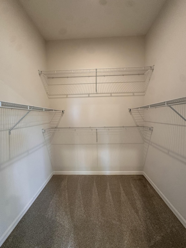 1517 SW Bayshore Blvd, Port Saint Lucie, FL 34983 - walk in closet featuring carpet floors