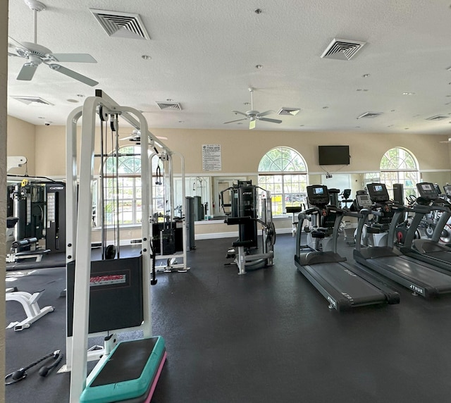 8825 Gibson Cay, West Palm Beach, FL 33411 - gym with ceiling fan, healthy amount of natural light, and a textured ceiling