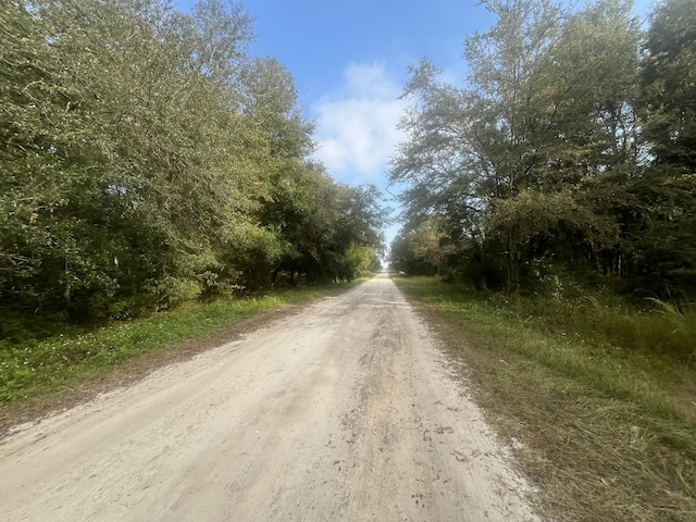 TBD 132nd Ave, Dunnellon, FL 34432