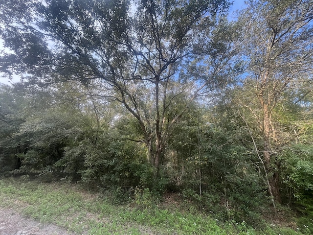 TBD 132nd Ave, Dunnellon, FL 34432