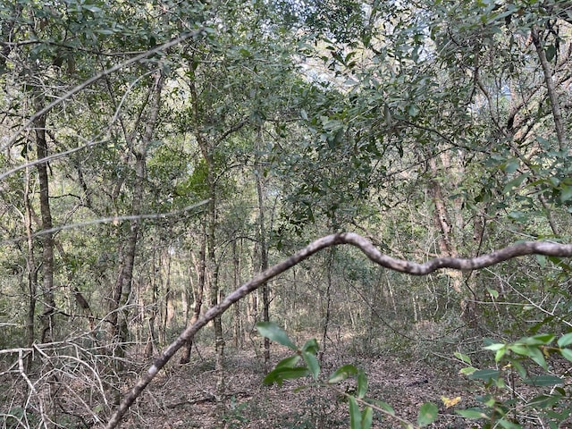 TBD 132nd Ave, Dunnellon, FL 34432