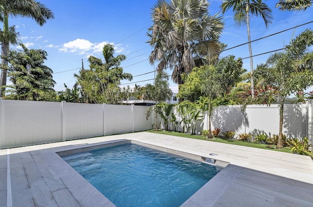 1233 NE 12th Ave Unit A, Fort Lauderdale, FL 33304 - view of pool with a fenced backyard
