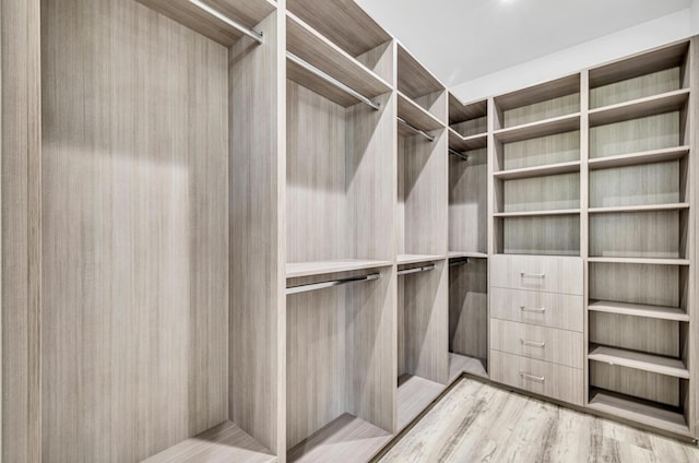 1233 NE 12th Ave Unit A, Fort Lauderdale, FL 33304 - spacious closet featuring light wood-type flooring