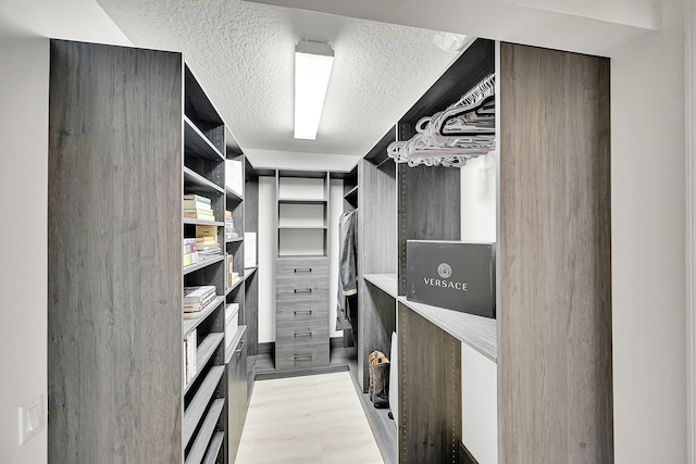6078 Slice Ct, Boynton Beach, FL 33437 - spacious closet featuring light wood-type flooring
