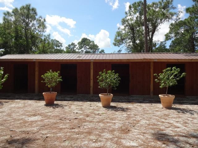 11357 Roselynn Way, Lake Worth, FL 33449 - view of front of house featuring metal roof