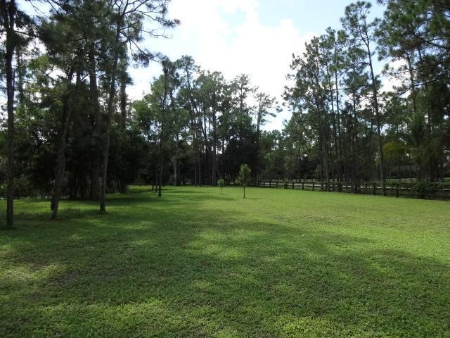 11357 Roselynn Way, Lake Worth, FL 33449 - view of yard