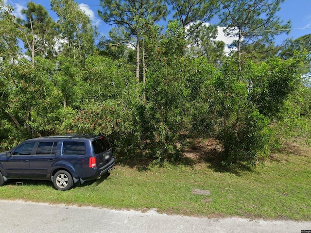 4625 SW Cacao St, Port Saint Lucie, FL 34953