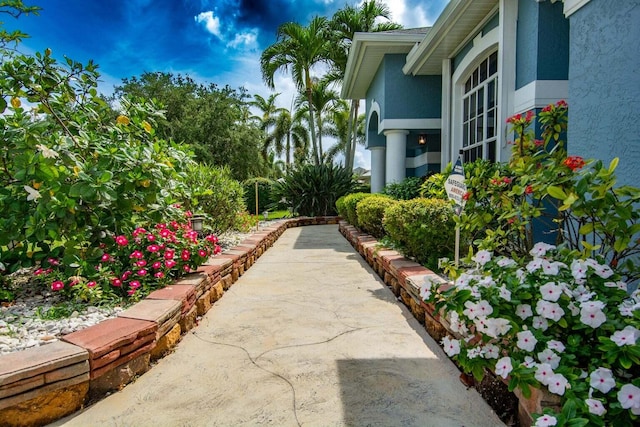 2608 SW River Shore Dr, Port Saint Lucie, FL 34984 - view of yard