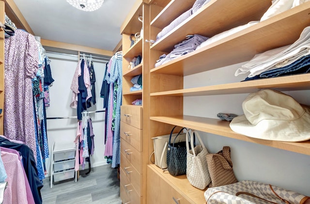 2701 N Ocean Blvd Unit E205, Boca Raton, FL 33431 - spacious closet featuring wood finished floors